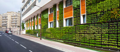 Building with garden vertical garden growing on wall