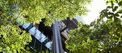 A view of the office building through green trees in front