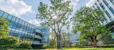 Modern eco city with green trees.