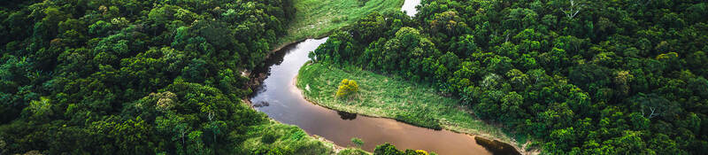 Atlantic Forest in Brazil