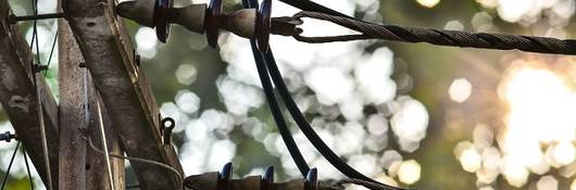 wire on a power pole on green nature background, woman running