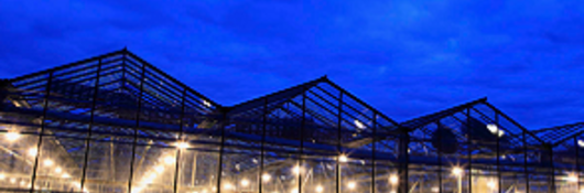 Outside looking in view of a cannabis farm at night.