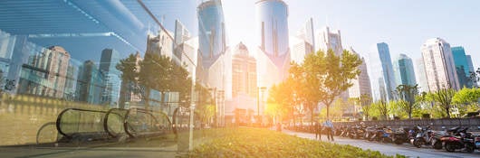 Panoramic and perspective view of high-rise buildings, where greenery and trees are reflected in the glass windows