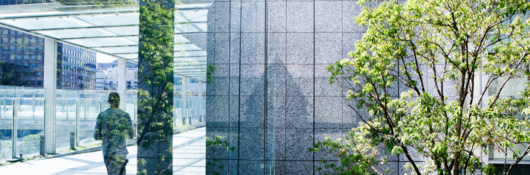 Silhouettes of a green tree and a business man walking on a passage through glass