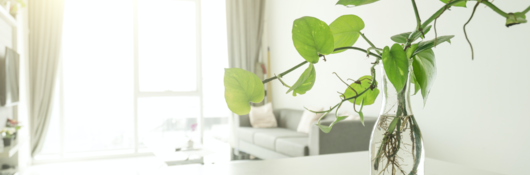 A bright, clean room in a home.