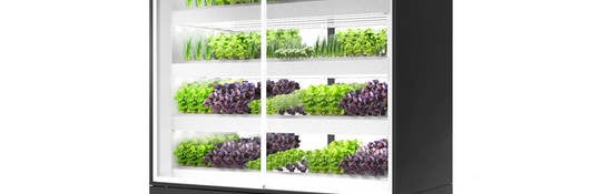 Instore horticultural system