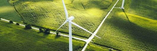 Wind turbines in a field