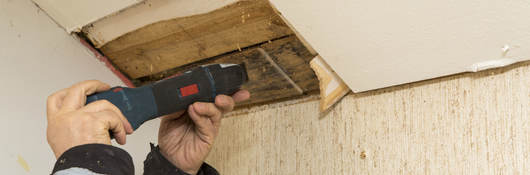 A person taking a mold sample