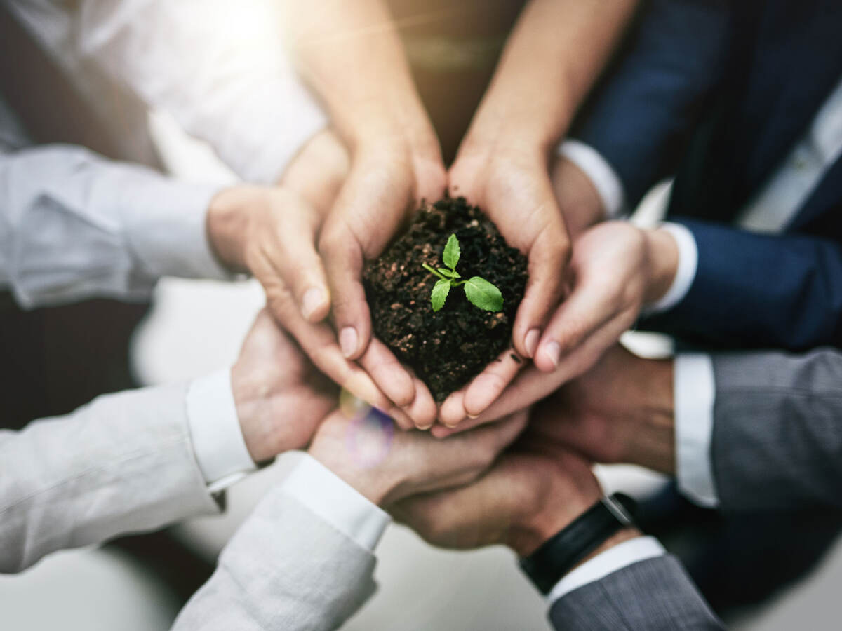 Group of people holding a plant growing out of soil