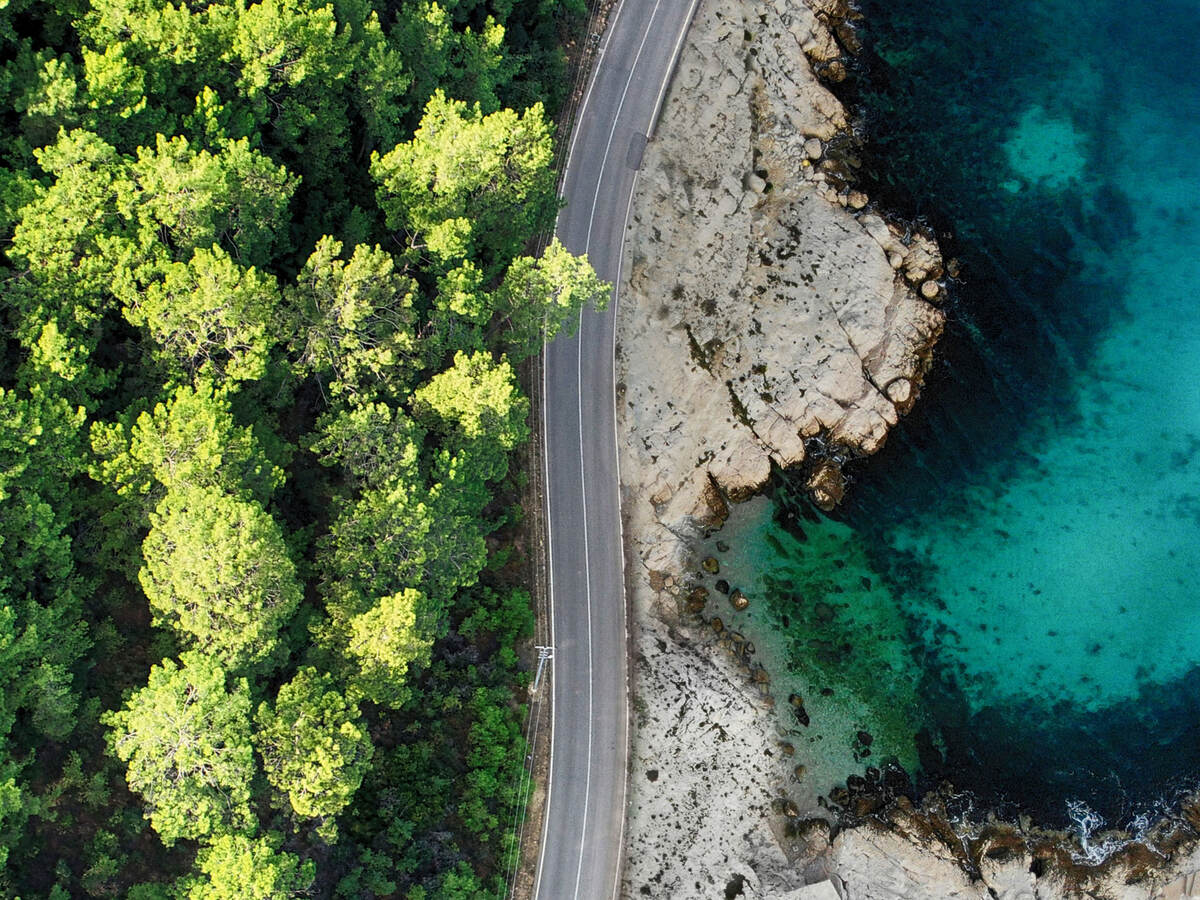 Aerial view of empty road winding between sandy shore and green forest