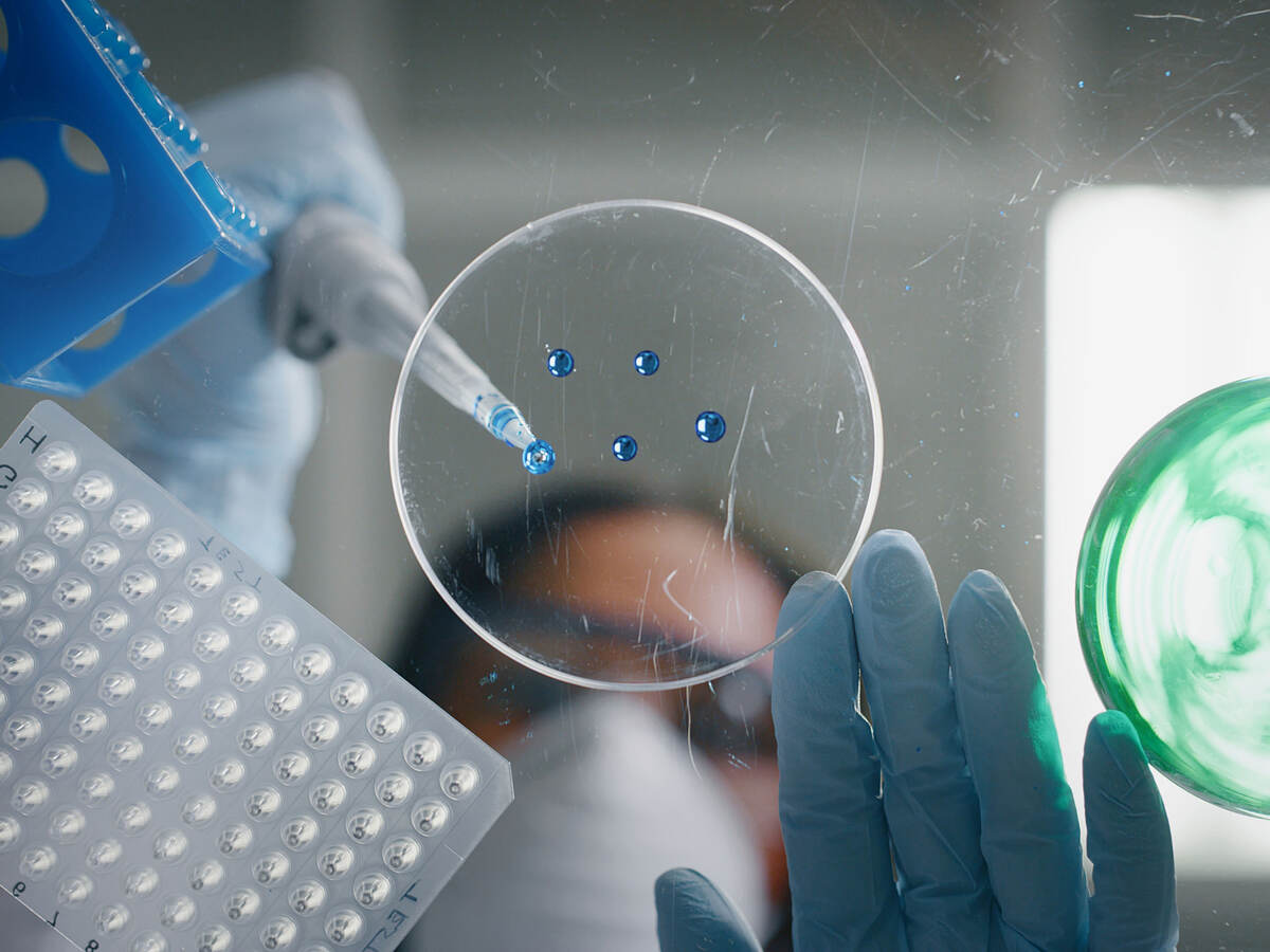 A scientist using a pipette to drop blue liquid in a petri dish