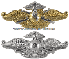 U.S. NAVY FLEET MARINE FORCE BADGE