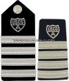 COAST GUARD AUXILIARY DISTRICT CHIEF STAFF (DCOS) AND DISTRICT CAPTAIN (DCAPT)