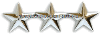 VICE ADMIRAL / LIEUTENANT GENERAL CAP RANK DEVICE