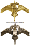 USMC MARINE CORPS FORCES SPECIAL OPERATIONS COMMAND INSIGNIA