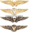 USMC UNMANNED AIRCRAFT SYSTEMS BADGE