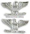 U.S. NAVY / USCG CAPTAIN AND USMC COLONEL COLLAR DEVICES