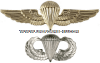 U.S. NAVY AND MARINE CORPS PARACHUTISTS BADGES