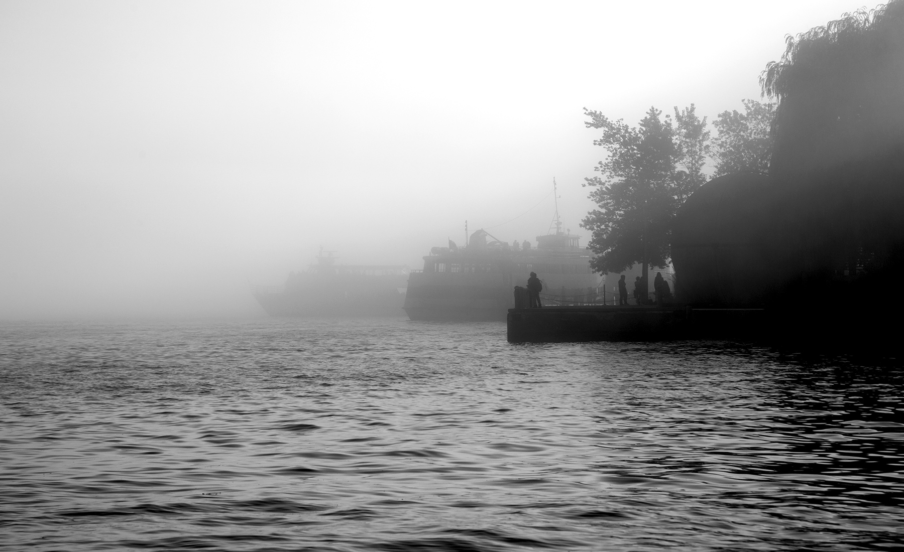 20150111. A thick fog lends an eerie perspective on Toronto's wa