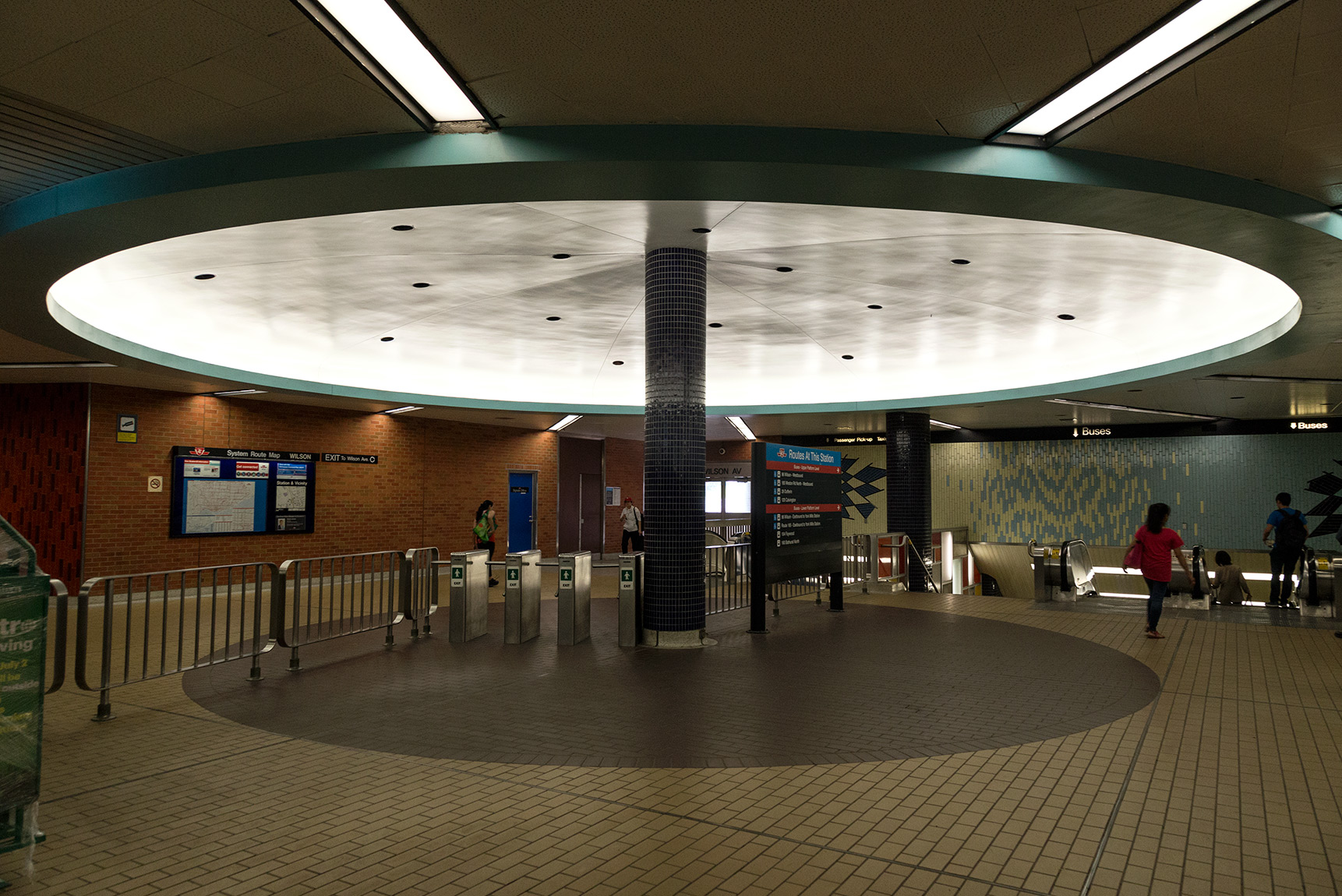 20160612. TTC's Wilson Station mushroom.