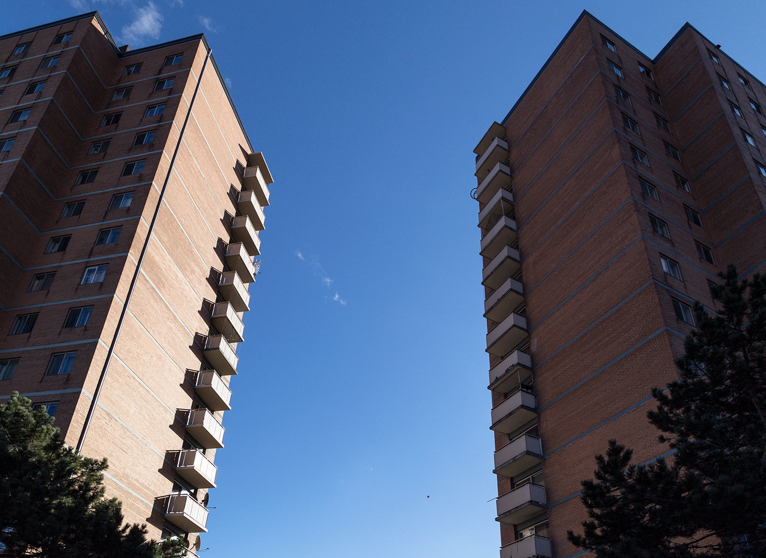 20160826. Moss Park Modernism.