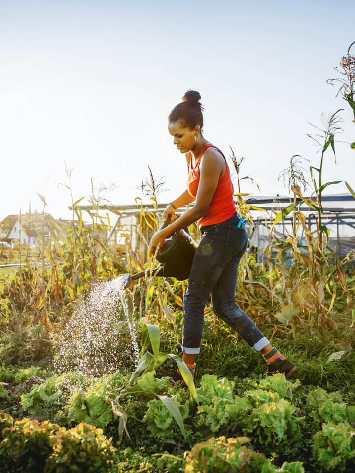 lady watering plants