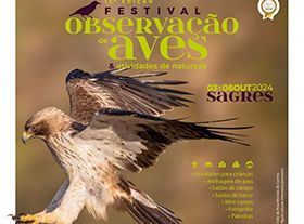 Sagres Birdwatching Festival