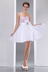 Stylish Bowknot Design Mini Sweet 16 Dress With Ruby