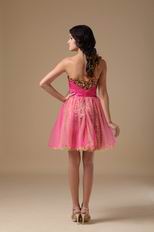 Leopard Printed Hot Pink Sweet 16 Dress By Designer