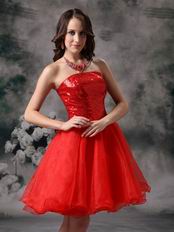 Sequin Bodice Sweet 16 Dress With Scarlet Organza Short Skirt