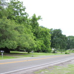 (A country road in Elgin from our drive last weekend, in between storms.)