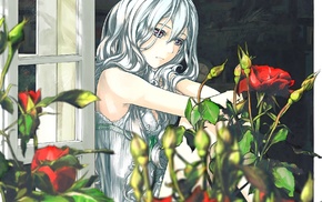 anime, original characters, window, flowers, silver hair, rose