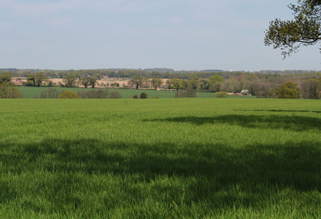 Farmland