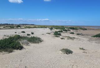 Coastal Communities