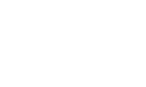 Logo Lillo