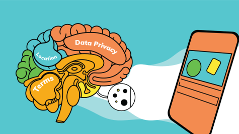 Federal data privacy laws graphic