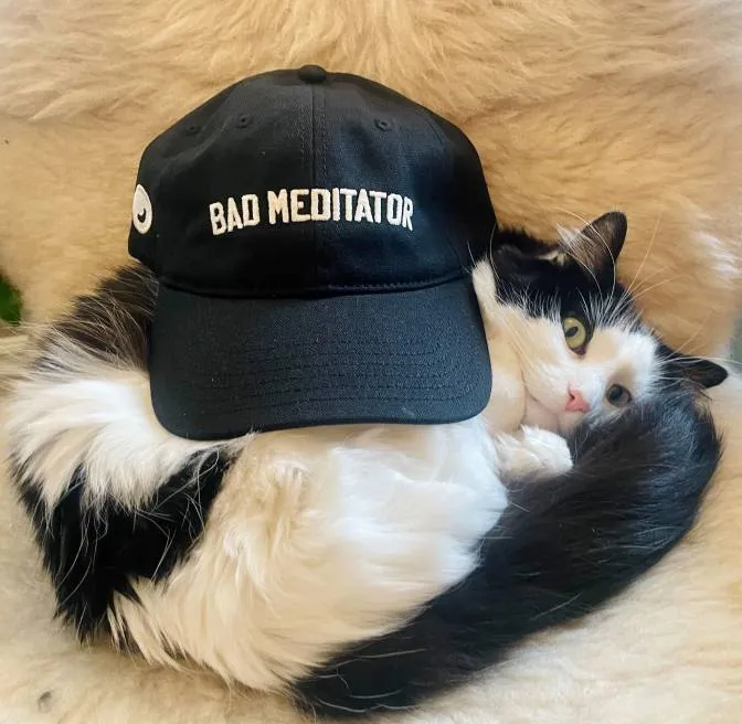 a black and white cat laying on top of a hat