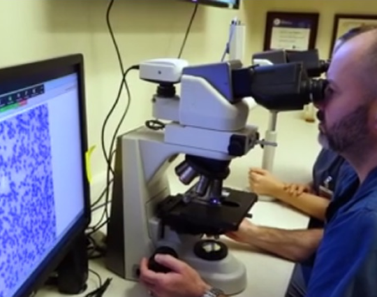wetenschapper die in een microscoop kijkt