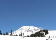 Spring Visit to Mount Rainier with Kids | WildTalesof.com