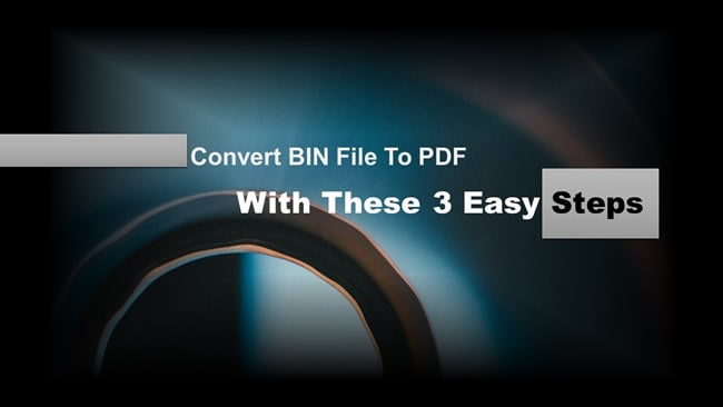 converter bin para pdf