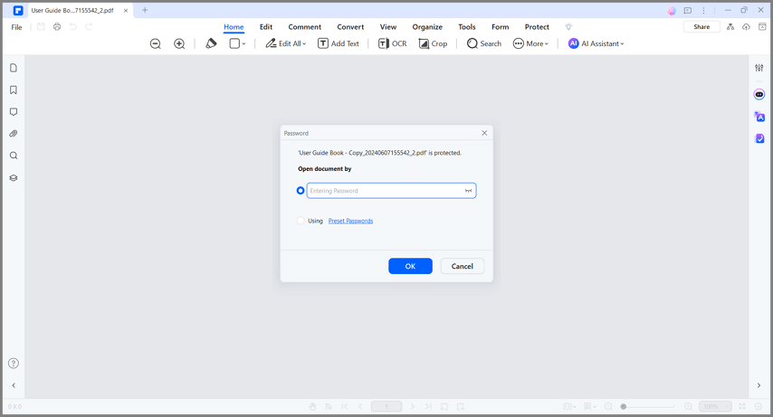 open document by entering password