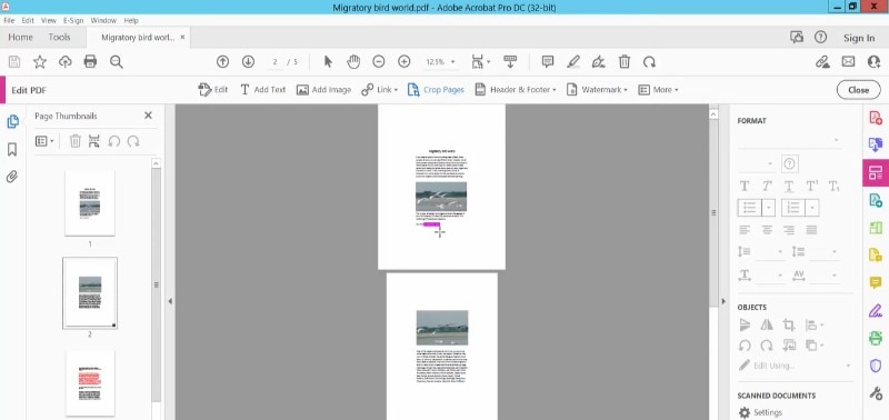 crop pages acrobat dc