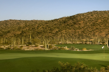 Ritz-Carlton GC: Saguaro #9