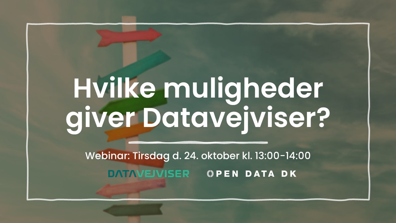 Webinar: Hvilke muligheder giver Datavejviser?