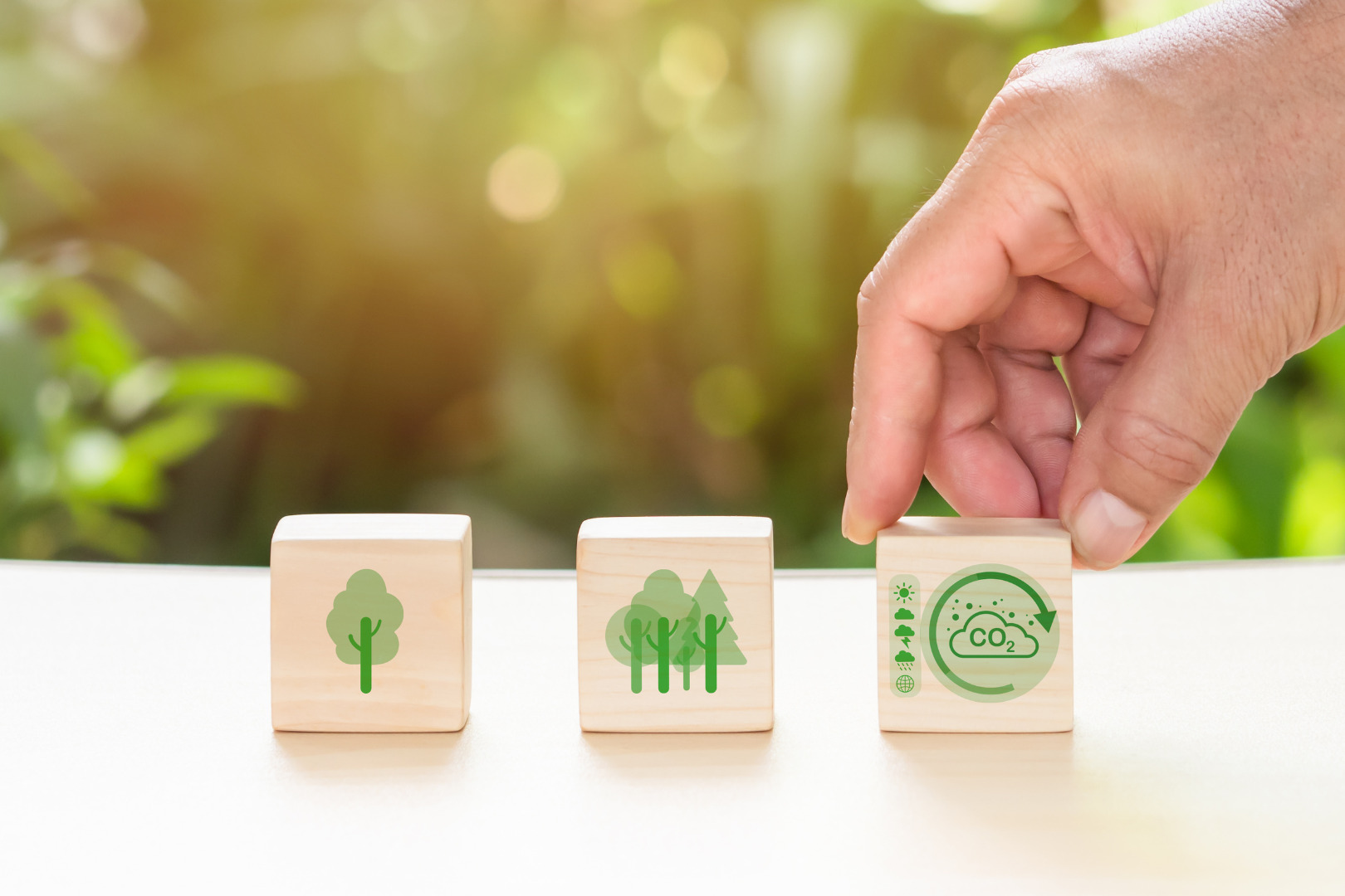 Planning an Effective Sustainability Program: How to Move Forward With ESG and Sustainability