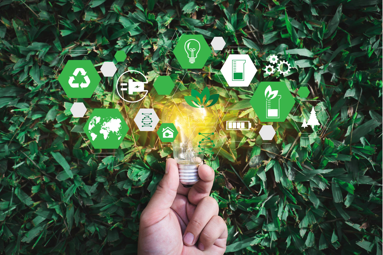 5 Tips for Boosting Sustainability in the Workplace in 2024 and Beyond 