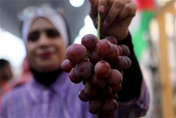 El Festival de Uvas en la ciudad cisjordana de Hebron