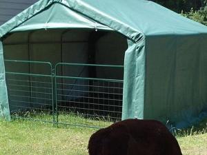 Horse Shelter