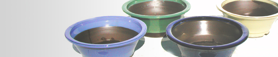 Bonsai Pots Yokkaichi Shop now!