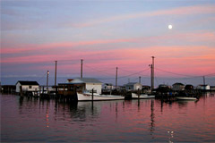 Tangier Island